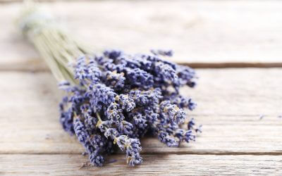 Lavendelöl Aromatherapie