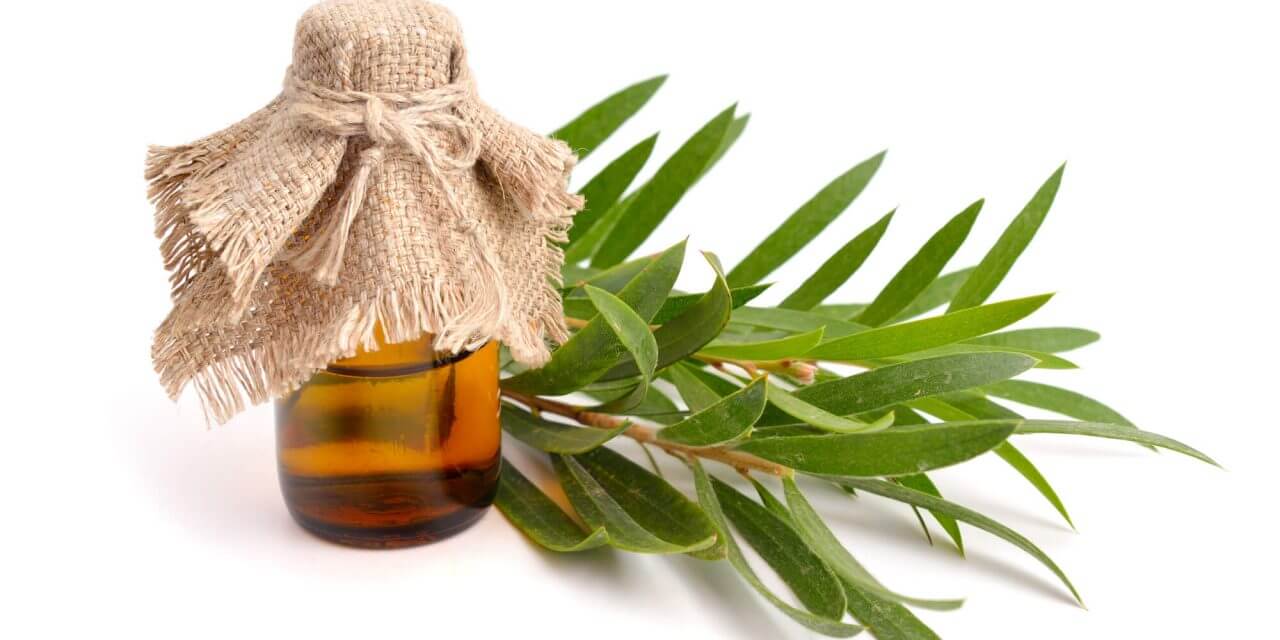 Teebaumöl für die Haut