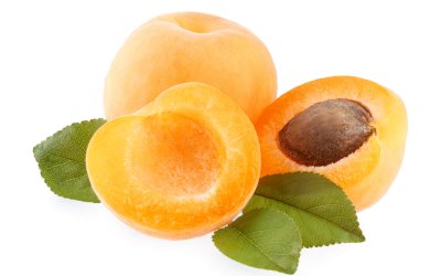 Aprikosenfruchtsamen